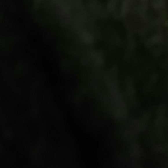salba12