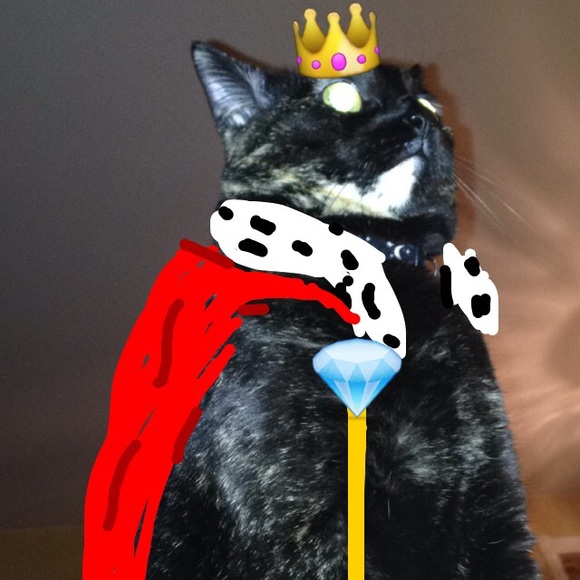 michellenorton