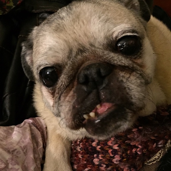 jackiecain