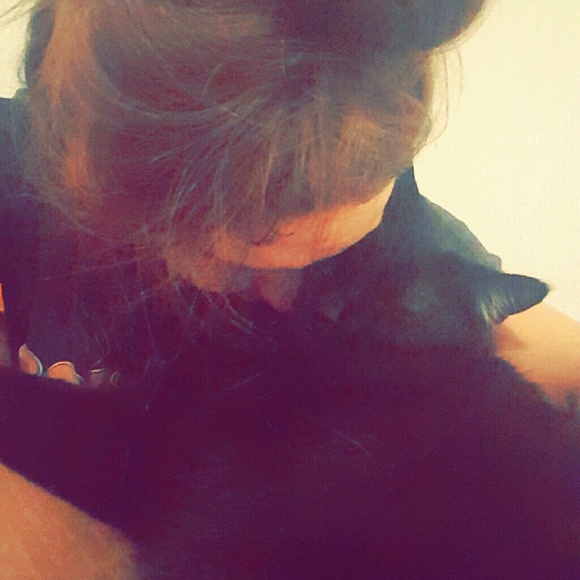 allycat1337