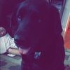 bri_recker