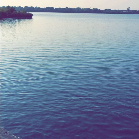 windyna