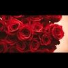 jesslove13