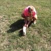 dani_221104