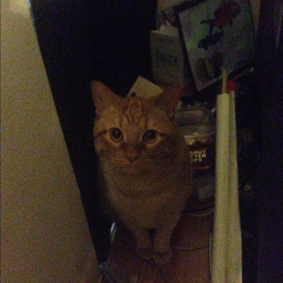 maletto1984