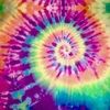 dakotabristow_