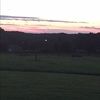 swalton31