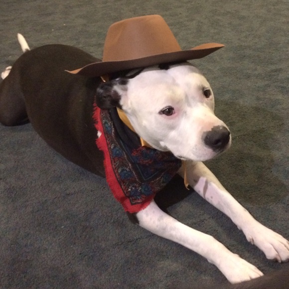 oreocookiedog