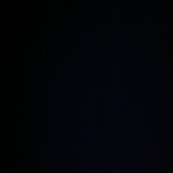 daphne_scheline