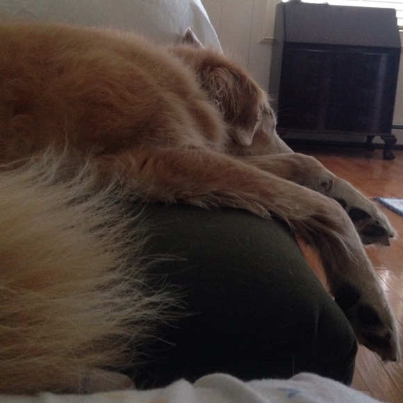 eaepup