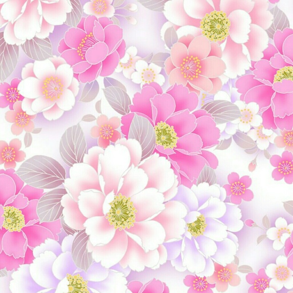 lori_sulak