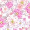 lori_sulak