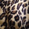 lyssa_strand