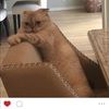 justmelis12