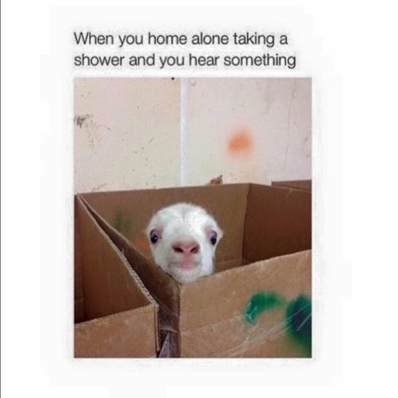 dboogie324