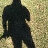 williamrodri