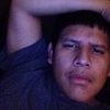 davidbaches