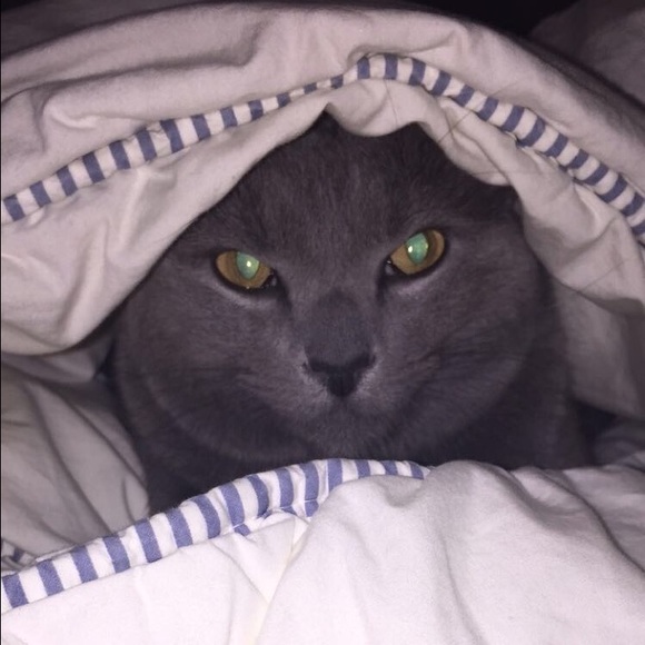 bcapone