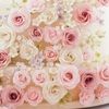 ashley5683