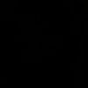 ldv_amc
