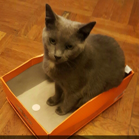 mana1996