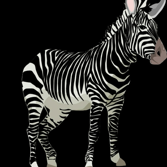 grumpyzebra