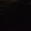 tarawarner7