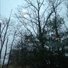 brixly6