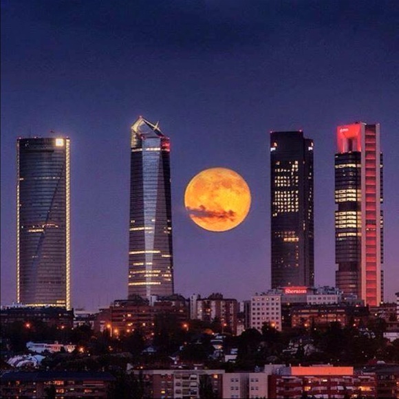 maculinda