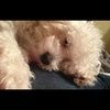 ariana_0612