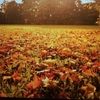 khaddys_finds