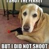 leavey