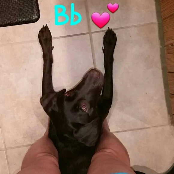 lil_schimbo