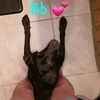 lil_schimbo