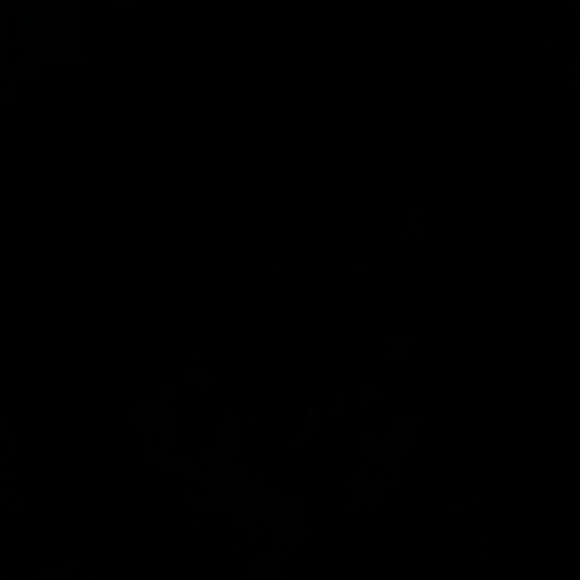 vortiz6