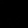 vortiz6