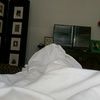 cjen1