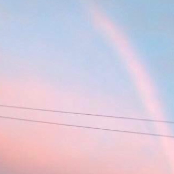 sandra_t_24