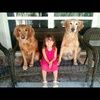 k9coach