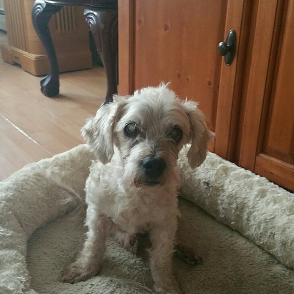 jixie
