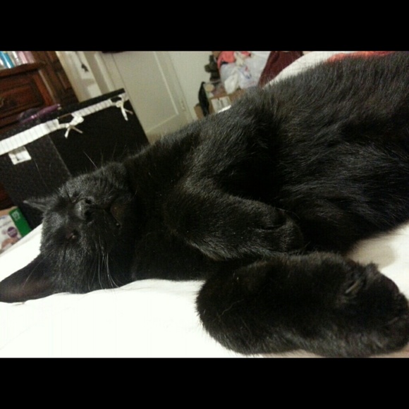 bubblesz33
