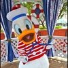 donaldducklover