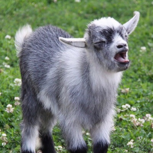 kskare