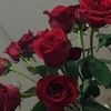 shrooq