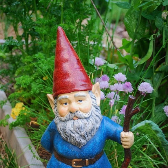 theflowergnome