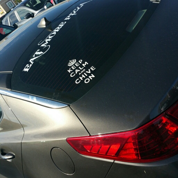 hollywoodpy
