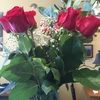 ewelina_seger