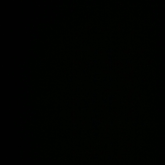 nutmeg17
