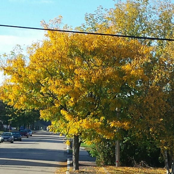 dp010103