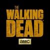amctwd